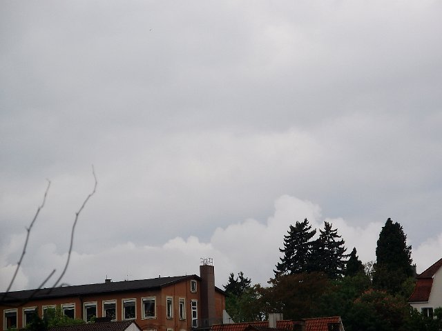 DSCF0787