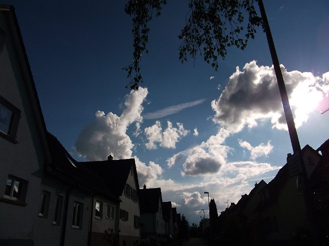 DSCF0790