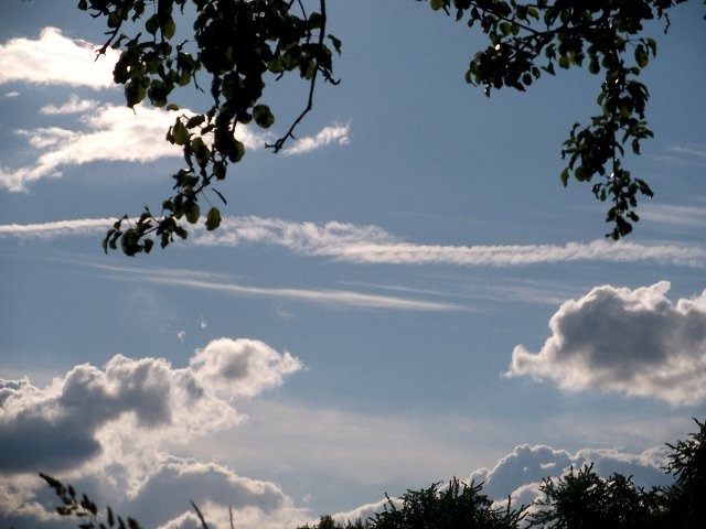 DSCF0796