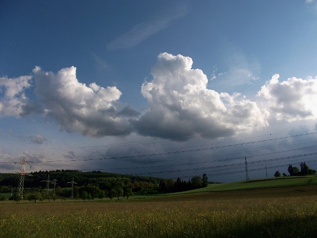 DSCF0807