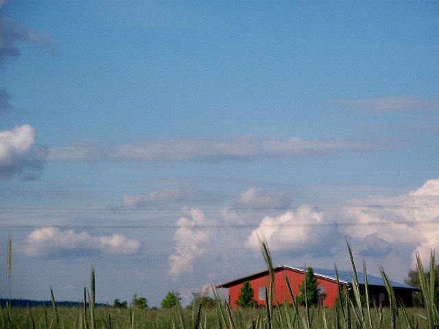 DSCF0811