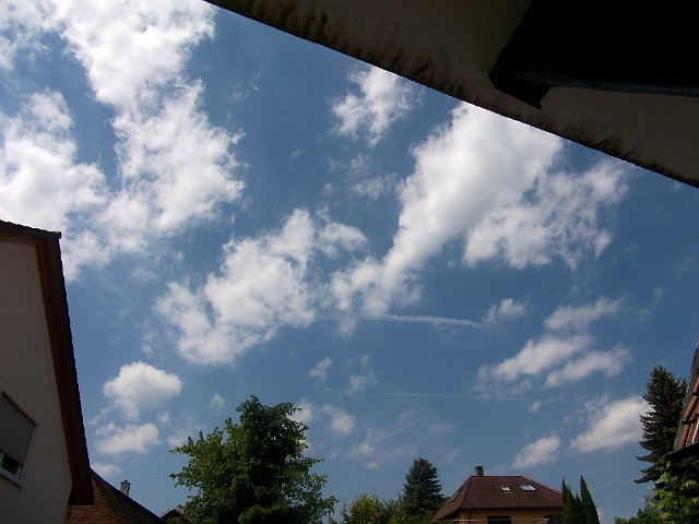 DSCF0842