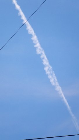 DSCF1799