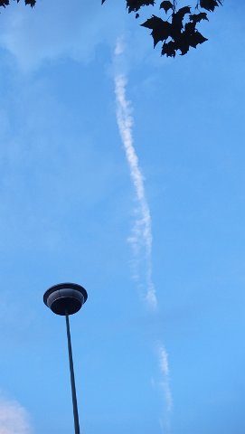 DSCF1802