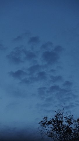 DSCF1809
