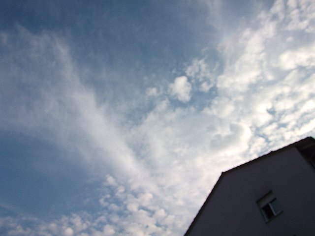 DSCF2381