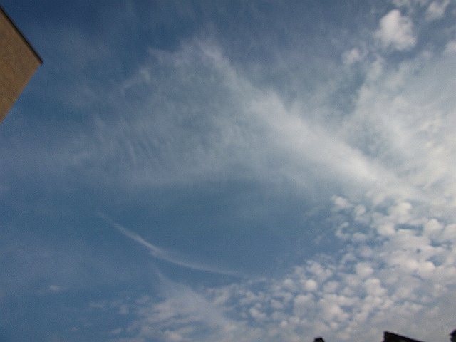 DSCF2382