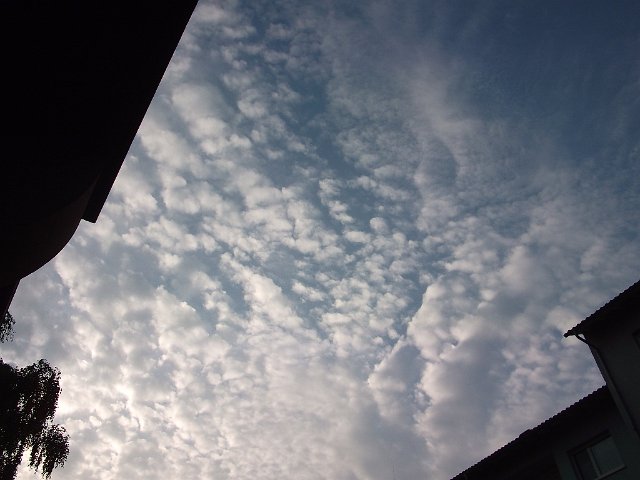 DSCF2383