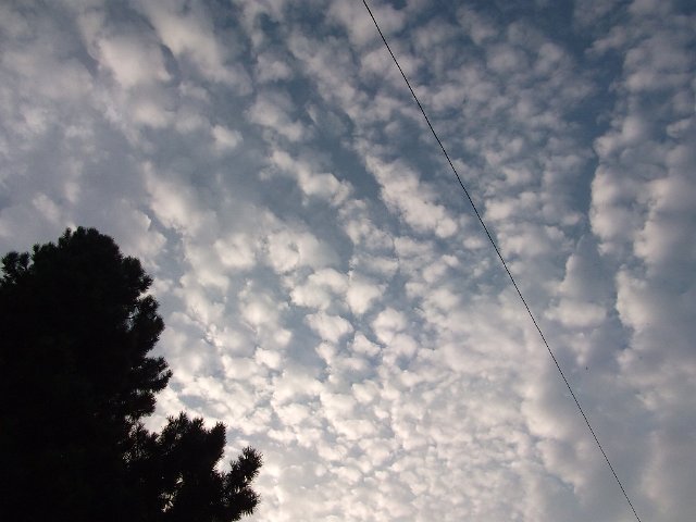 DSCF2384