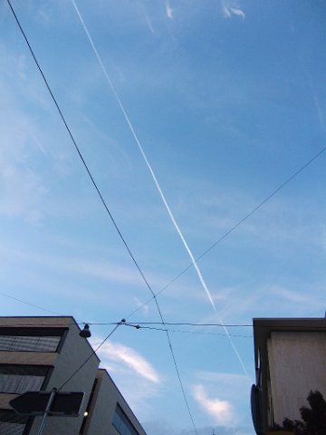 DSCF2391