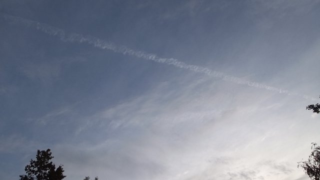 DSCF1814