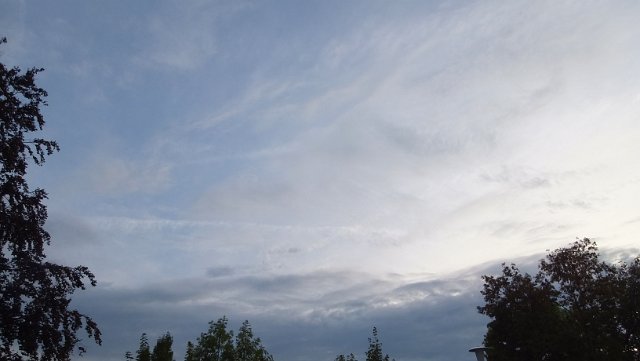 DSCF1815