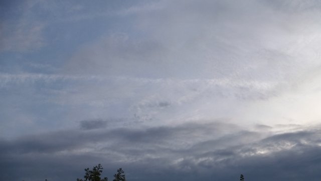 DSCF1816