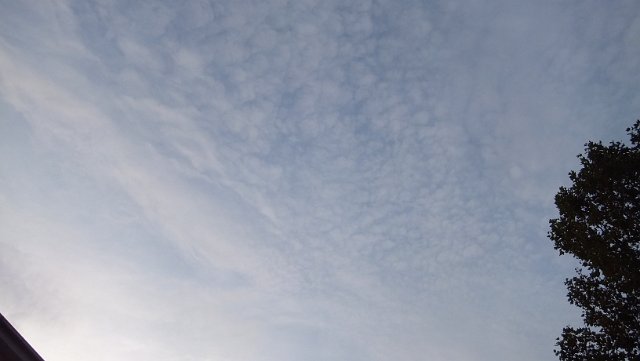 DSCF1818