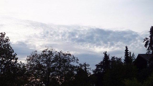 DSCF1819