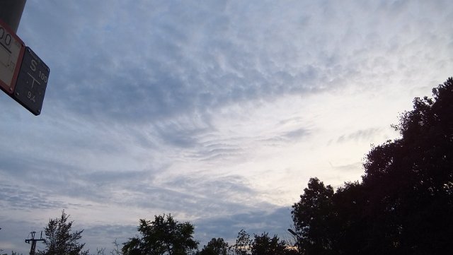 DSCF1823