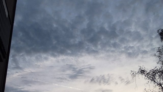 DSCF1824