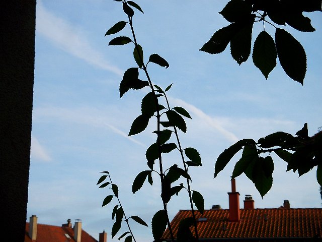 DSCF2405