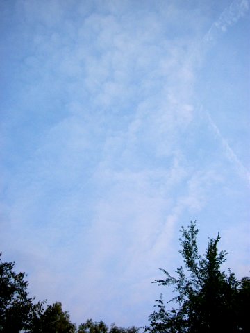 DSCF2406