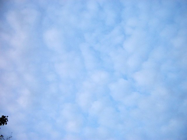 DSCF2407