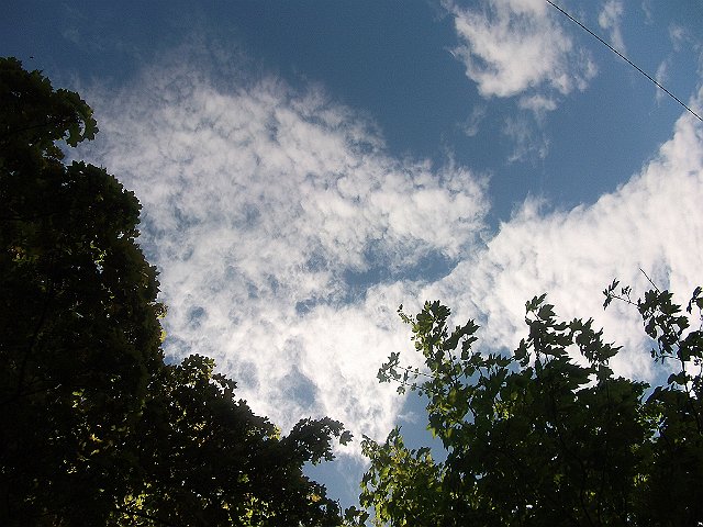 DSCF0646
