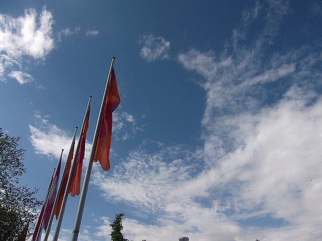 DSCF0650