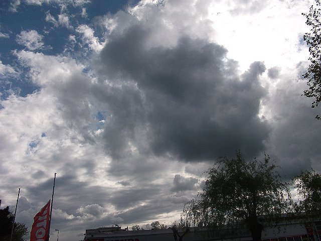 DSCF0653