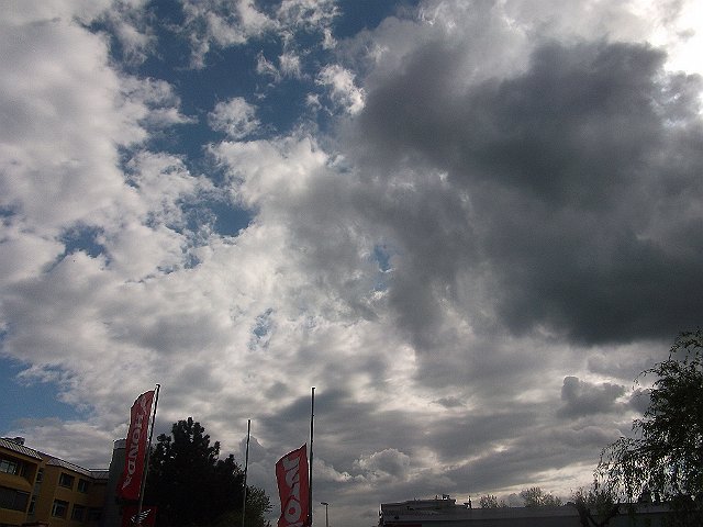 DSCF0654