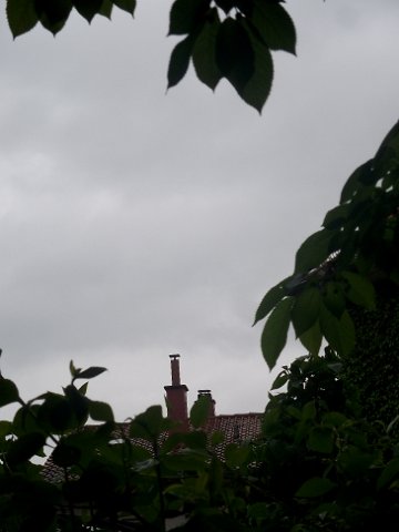 DSCF0844