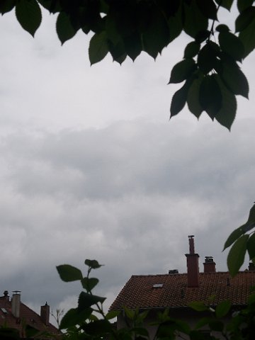 DSCF0845