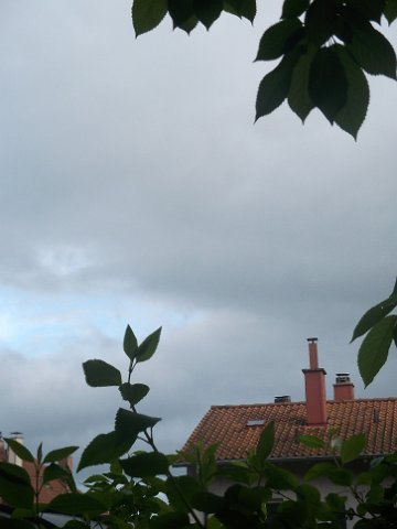 DSCF0847