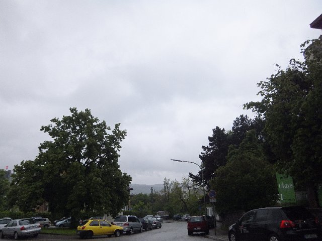 DSCF0860