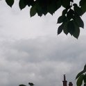 DSCF0845.JPG