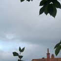 DSCF0847.JPG