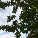 DSCF0852.JPG