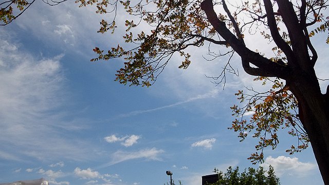 DSCF0871