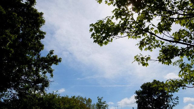 DSCF0873