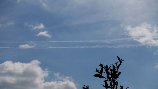 DSCF0878