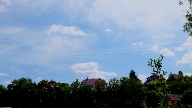 DSCF0880