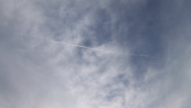 DSCF0902