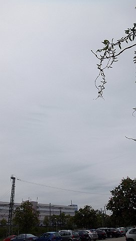 DSCF0927