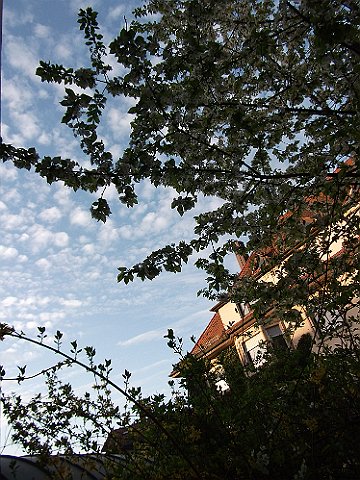 DSCF0472
