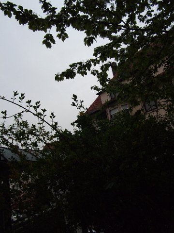DSCF0580