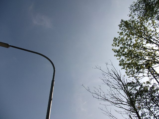 DSCF0581
