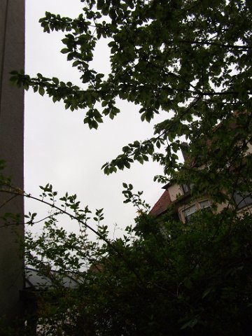 DSCF0582