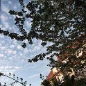 DSCF0472.JPG