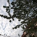 DSCF0475.JPG