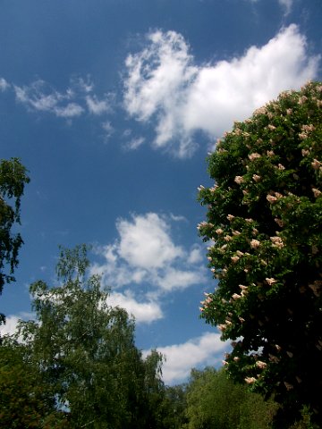 DSCF0819