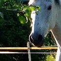 DSCF0801.JPG