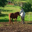 DSCF0806.JPG